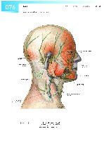 Sobotta Atlas of Human Anatomy  Head,Neck,Upper Limb Volume1 2006, page 83